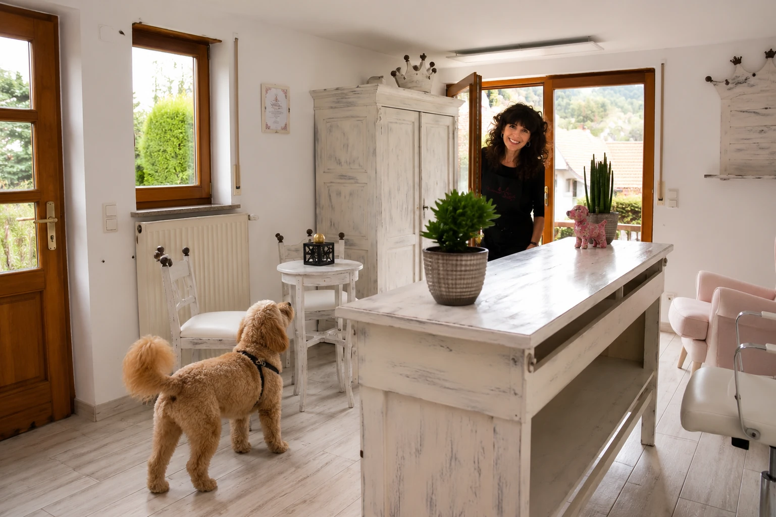 Hund erkundet in Ruhe den Hundesalon Pfötle Paradies