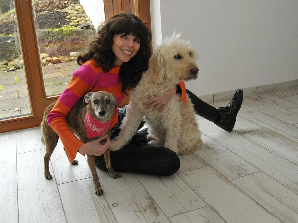 Liebevoller und individueller Umgang mit einem Hund im Hundesalon Pfötle Paradies